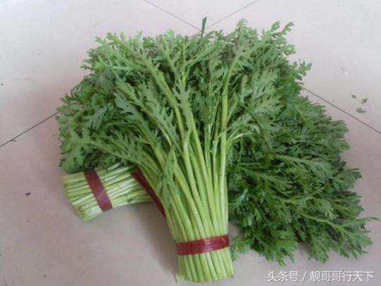 十大百吃不厌的蔬菜,很多人吃不来的4种蔬菜