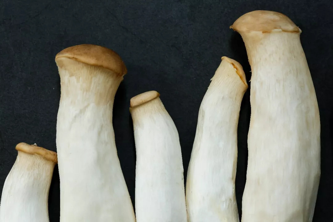 蘑菇那么多，看完你就知道都该怎么吃啦~