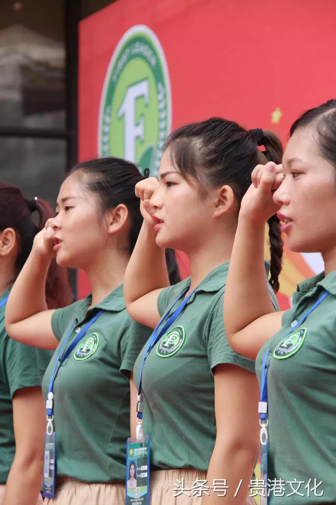 合浦县艾乐国际幼儿园,贵港香港艾乐国际幼儿园