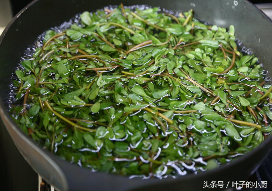 北京菜价涨得吓人，油麦菜都9.9元了！这个不花钱，抓紧要过季了