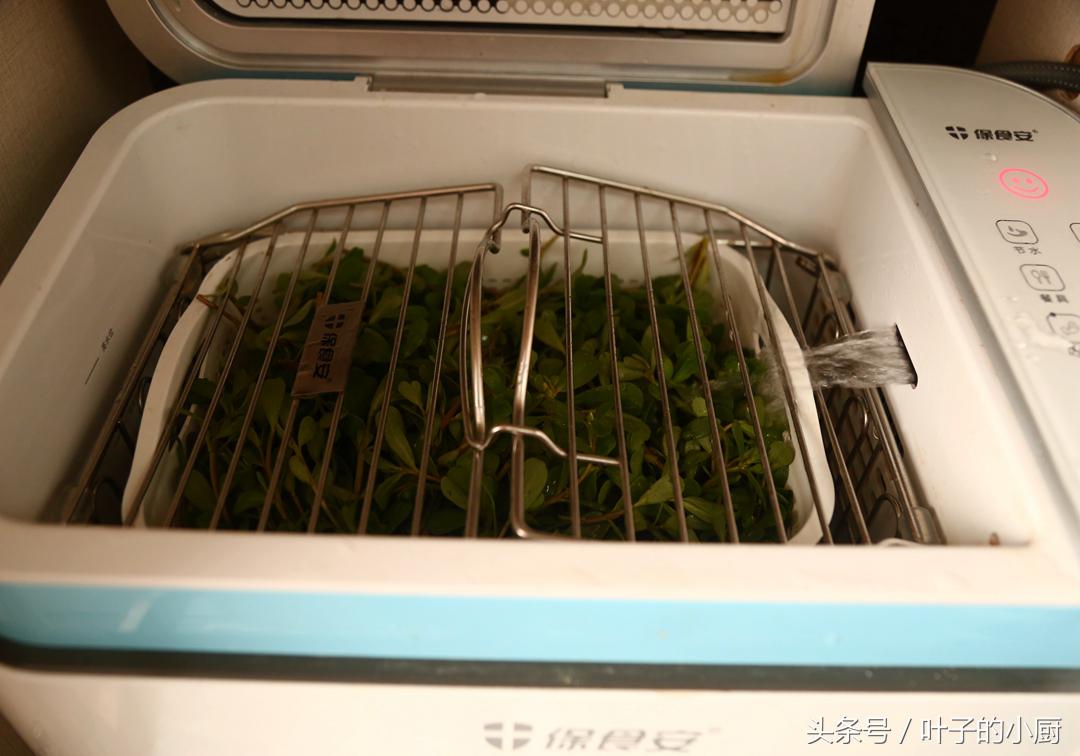 北京菜价涨得吓人，油麦菜都9.9元了！这个不花钱，抓紧要过季了