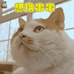 好吃不贵又麻又过瘾的串串,味道超赞又实惠的串串店