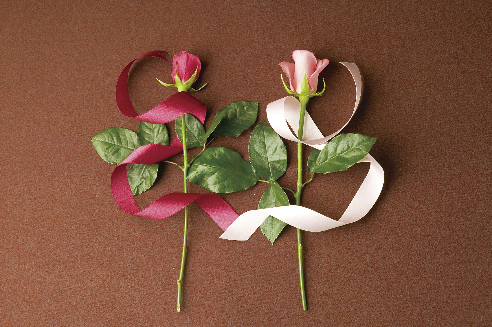 教资综合素质作文怎么备考,教资综合素质备考资料