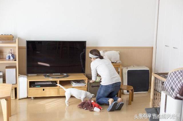 家里有蚂蚁最简单处理方法,家里有蚂蚁怎么处理买什么药能治