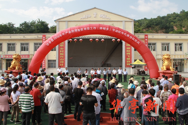 华亭县为1855户贫困户发放平凉红牛代养分红92.75万元