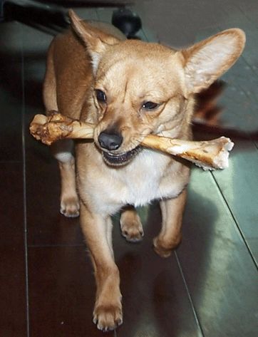 最新股市段子,股市抄底段子