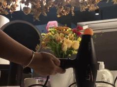 3000块钱的吹风机有必要么,应不应该买好一点的吹风机