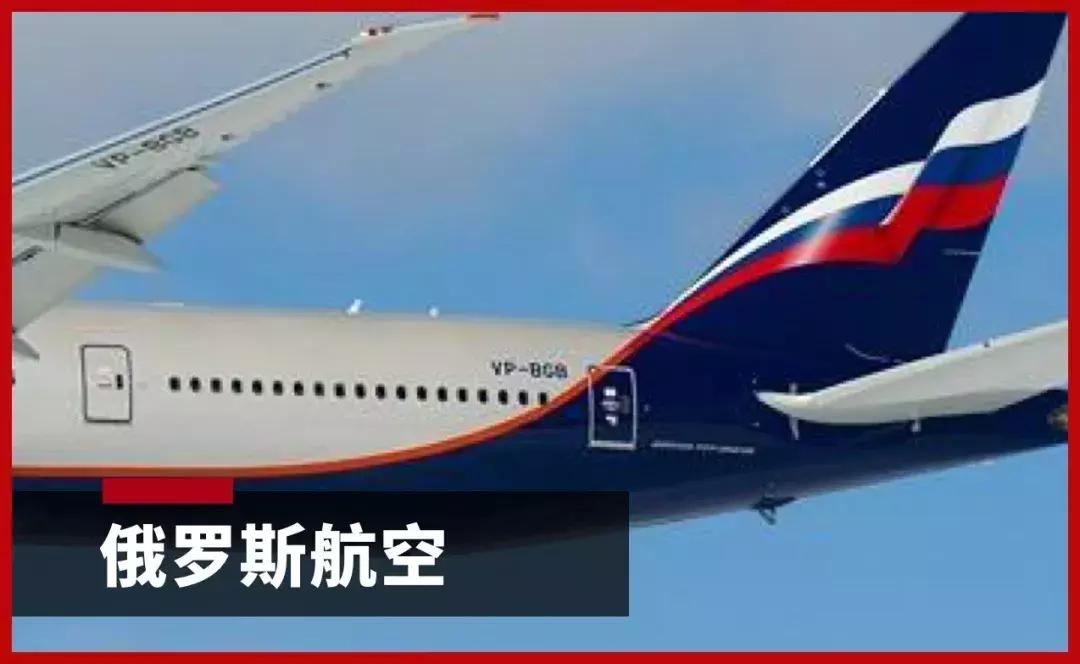 飞机公母头的区别,飞机如何分辨公母