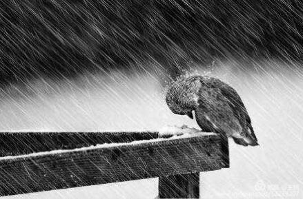 易经中木命人性格,易经五格大吉