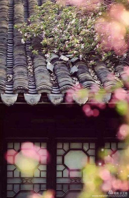 易经中木命人性格,易经五格大吉