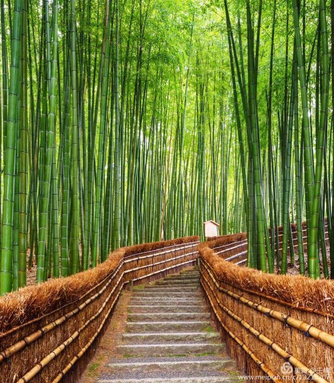 易经中木命人性格,易经五格大吉