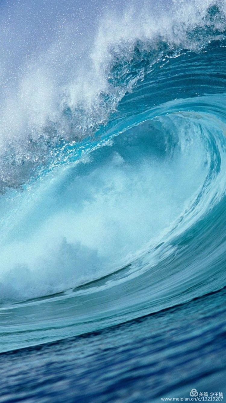 易经中木命人性格,易经五格大吉