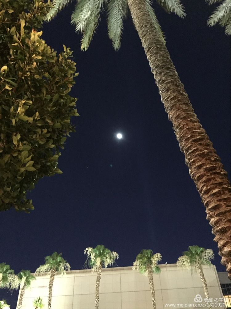 易经中木命人性格,易经五格大吉