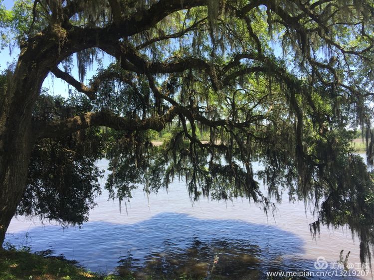 易经中木命人性格,易经五格大吉