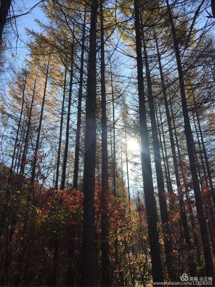 易经中木命人性格,易经五格大吉