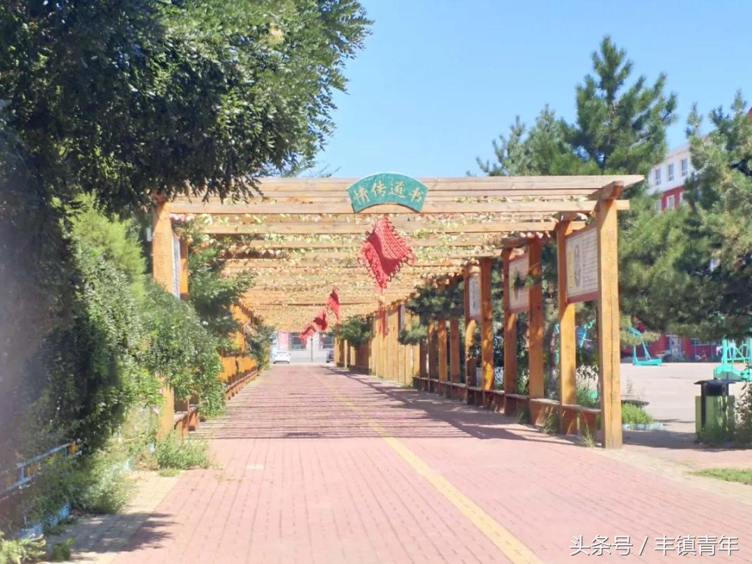 丰镇一中2007届,冬天丰镇一中照片