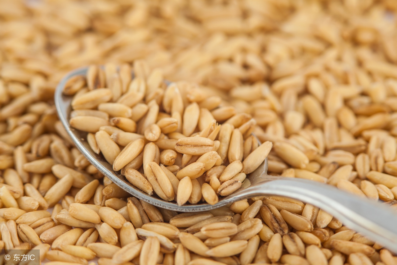 怎么吃燕麦的营养最好,燕麦怎样吃对胃有好处