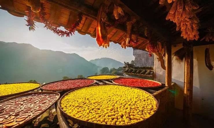 秀美乡村江西,秀美乡村活动视频