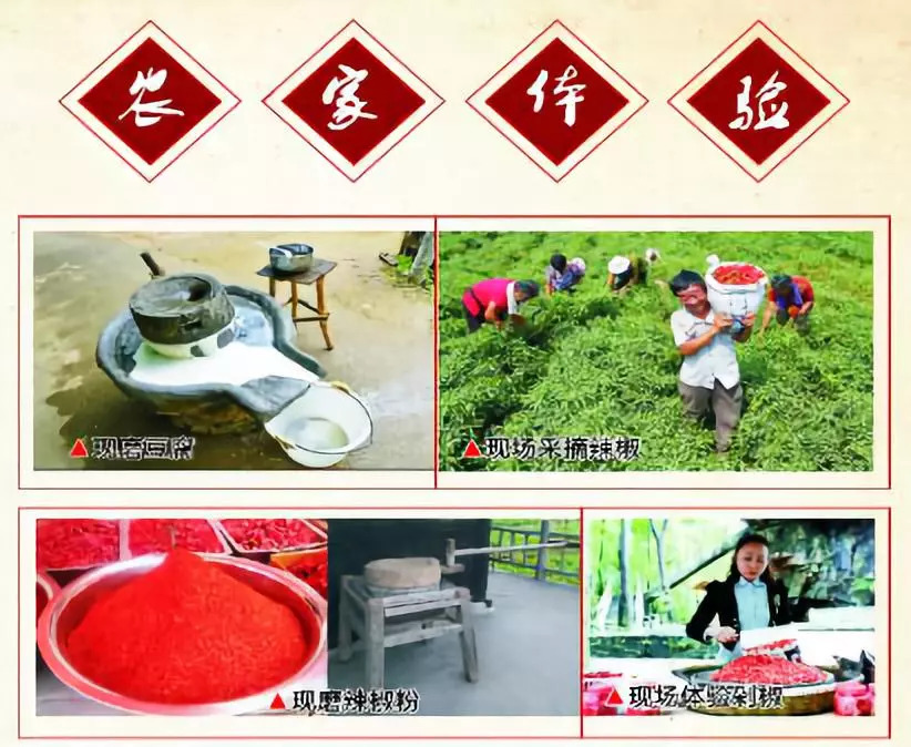 秀美乡村江西,秀美乡村活动视频