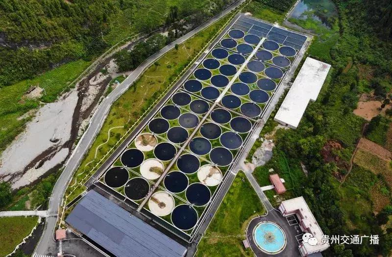 梵净山脚下野生鱼,梵净山龙洞泉水鱼