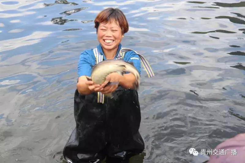 梵净山脚下野生鱼,梵净山龙洞泉水鱼