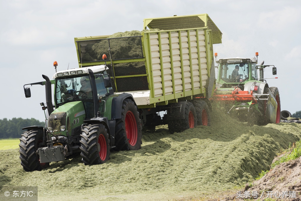 准备养羊需要注意啥,养羊技术十大要点