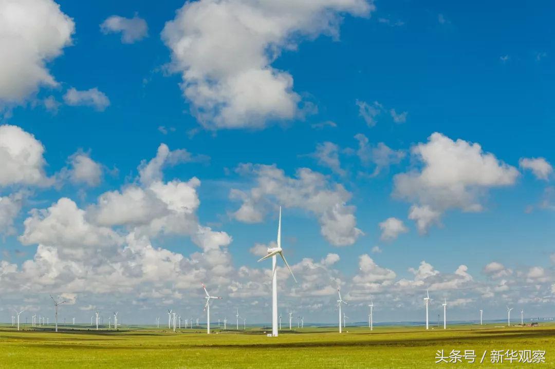 夏天大草原旅行 (夏天旅行大草原)