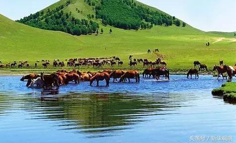 夏天大草原旅行 (夏天旅行大草原)