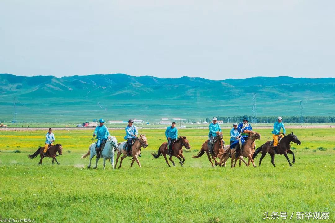 夏天大草原旅行 (夏天旅行大草原)