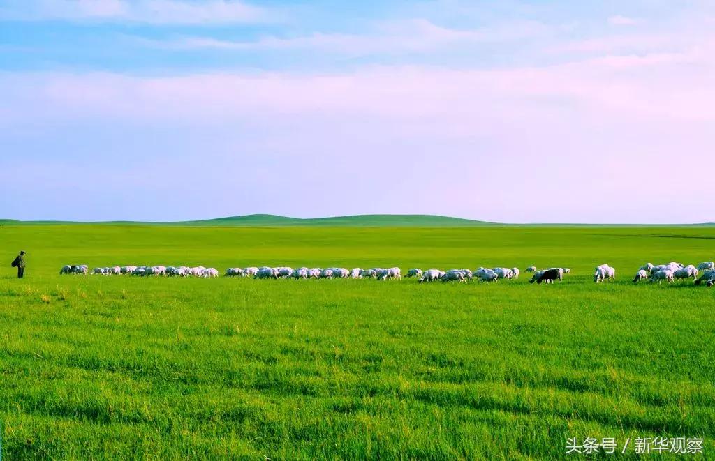 夏天大草原旅行 (夏天旅行大草原)