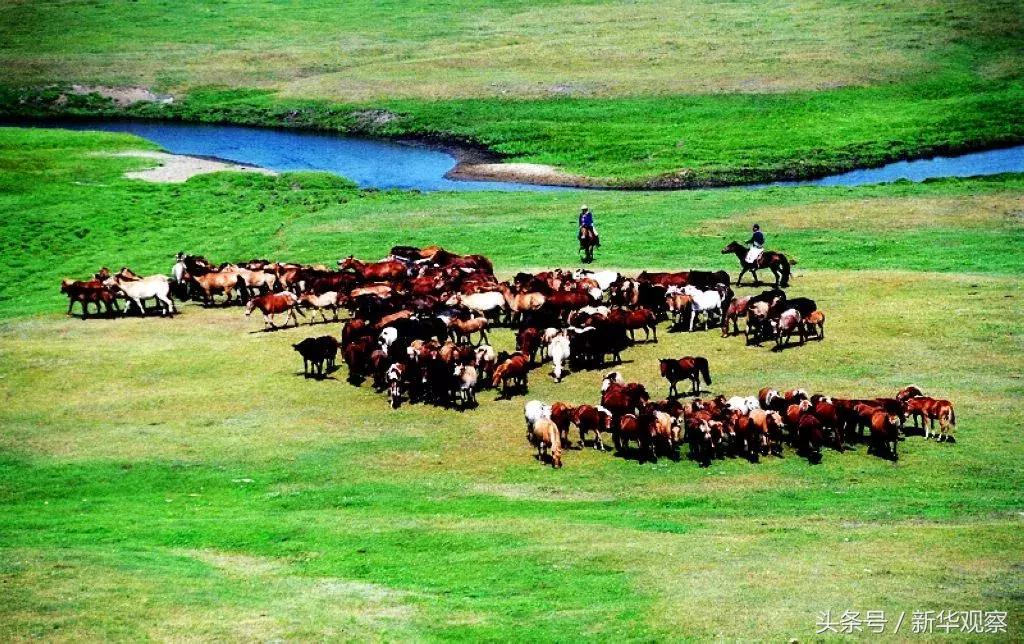夏天大草原旅行 (夏天旅行大草原)