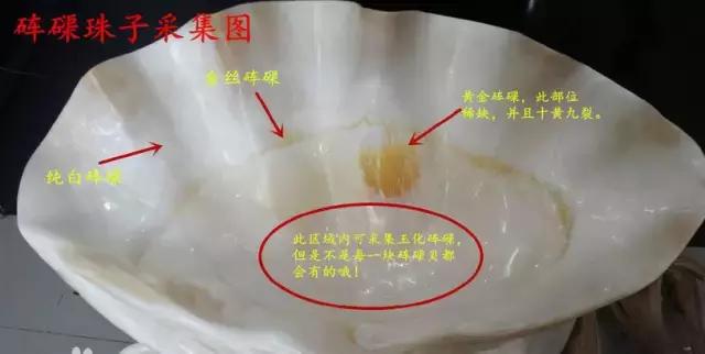 金丝砗磲为什么是佛教七宝之一,金丝砗磲的鉴别方法