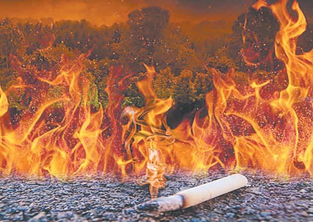 棉花厂烟头引发火灾,一民房突发起火田阳消防火速处置