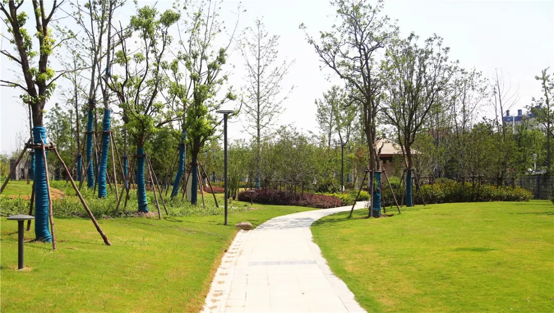 新增城市绿地情况说明,未来嘉定新增几座公园