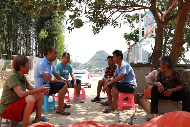 金竹最近发生什么事,金竹死了怎么救活