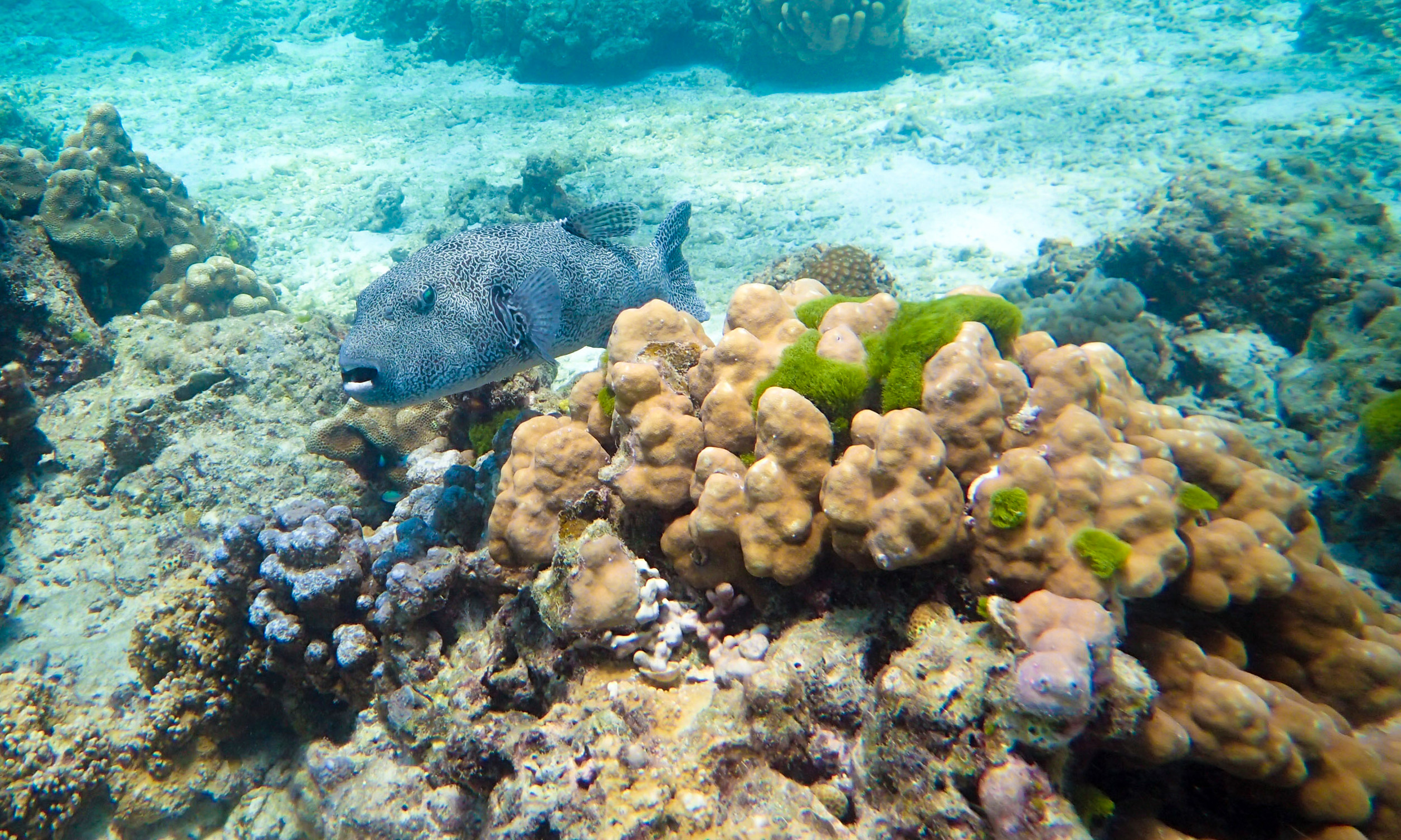 泰国普吉岛哪些好耍,泰国普吉岛必打卡地点