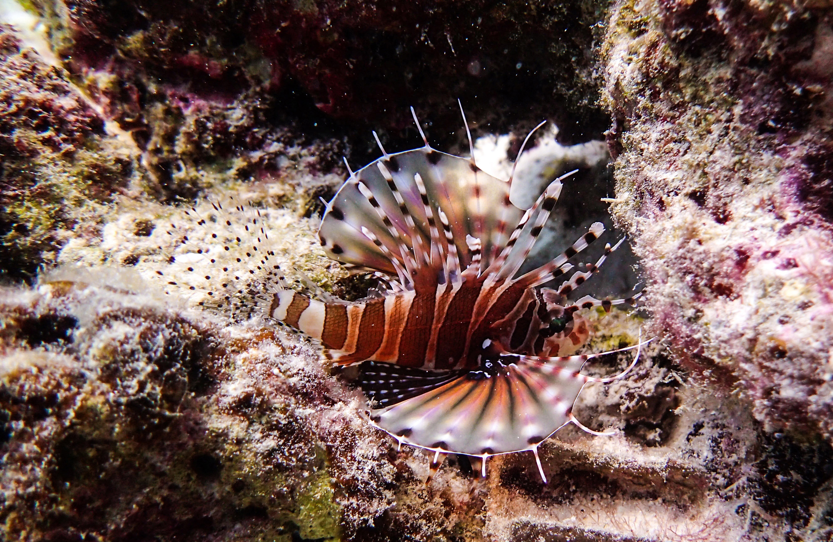 泰国普吉岛哪些好耍,泰国普吉岛必打卡地点