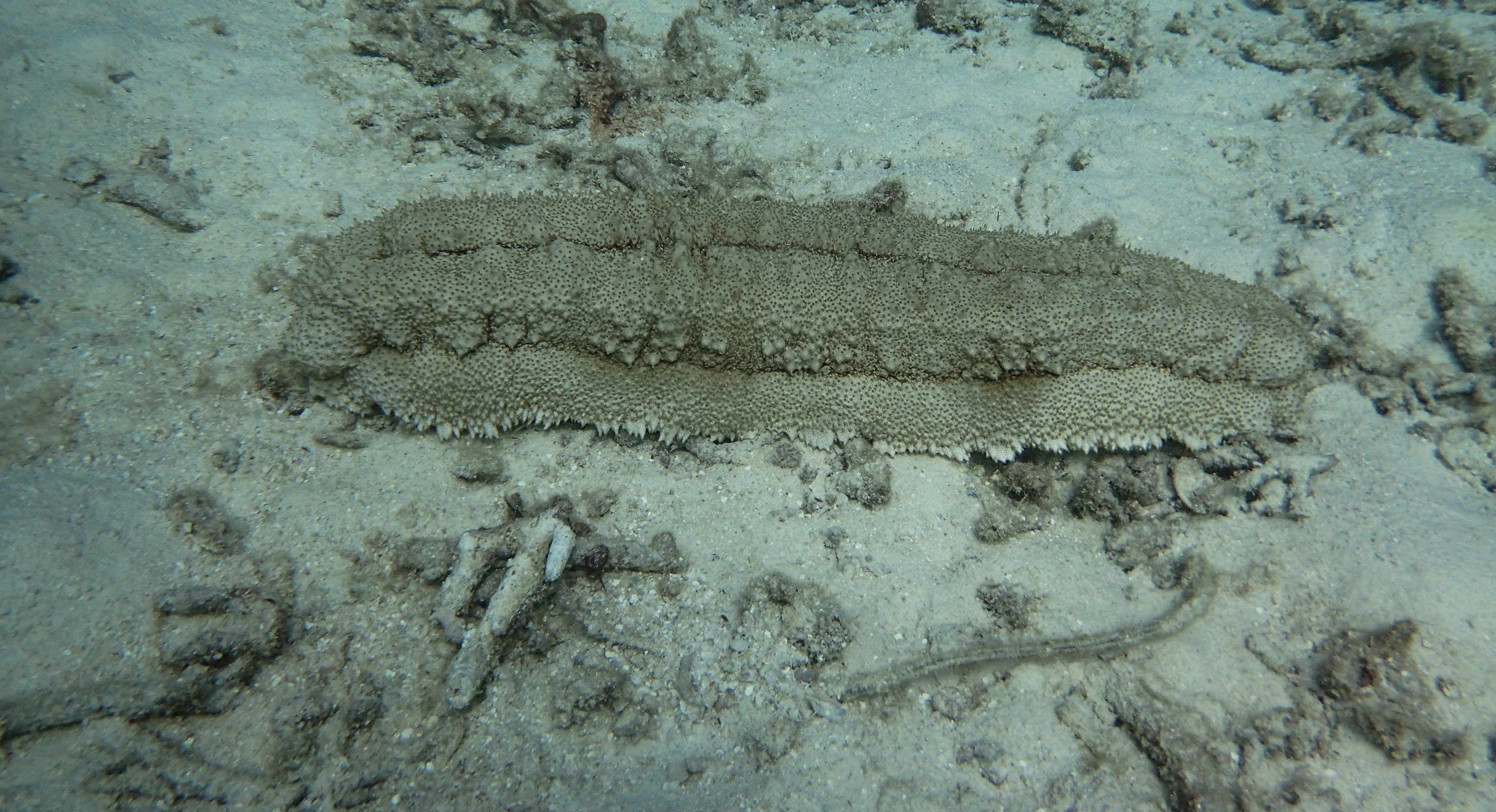 泰国普吉岛哪些好耍,泰国普吉岛必打卡地点