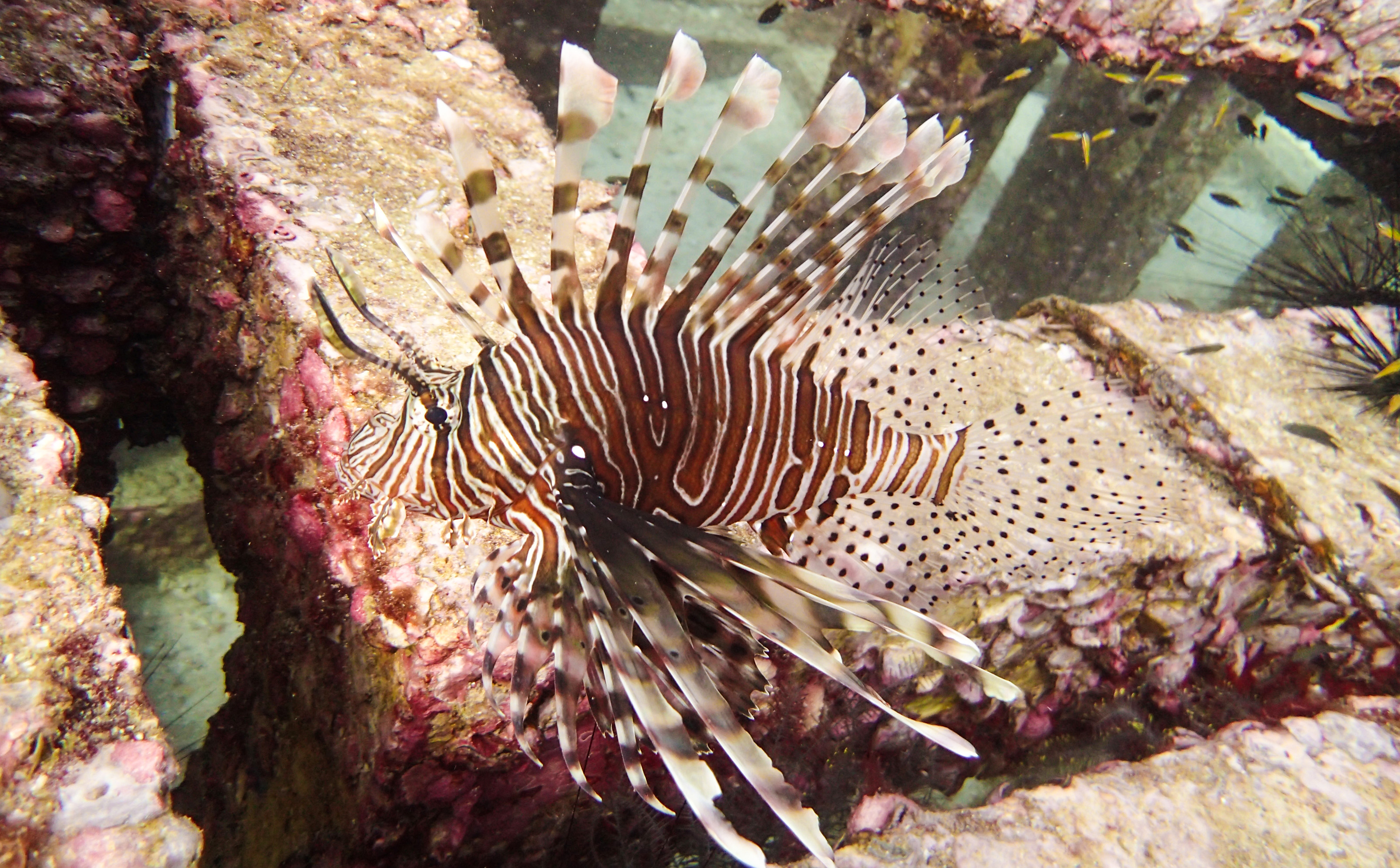 泰国普吉岛哪些好耍,泰国普吉岛必打卡地点