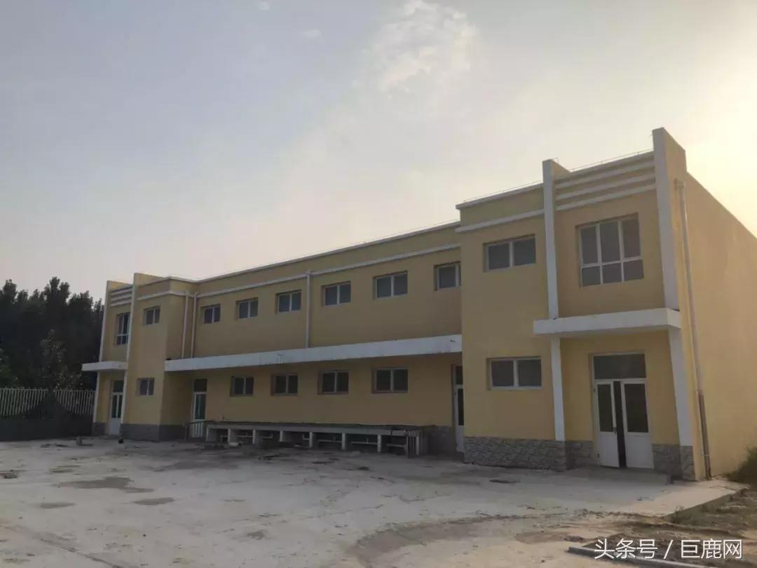 巨鹿育新小学新校区,2024巨鹿小学片区最新规划图