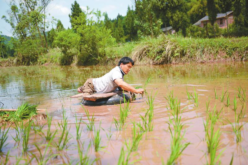 中国残疾人事业发展报告2020,中国残疾人发展十四五规划