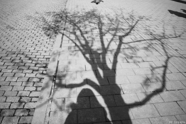 女性英文称呼,英文女士的各种称呼