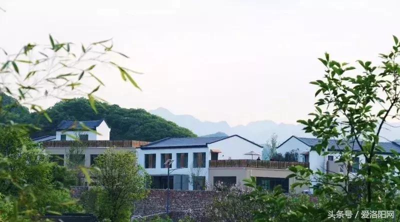 河南洛阳十大最美民宿,洛阳山上最美民宿