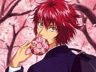 网球王子立海大简介,网球王子和立海大比赛详情