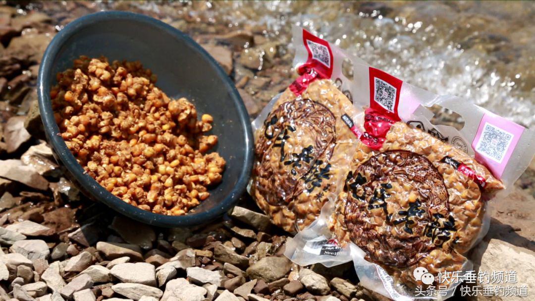 草鱼用什么鱼饵最好钓秋季,秋季黑坑钓草鱼怎么选位置