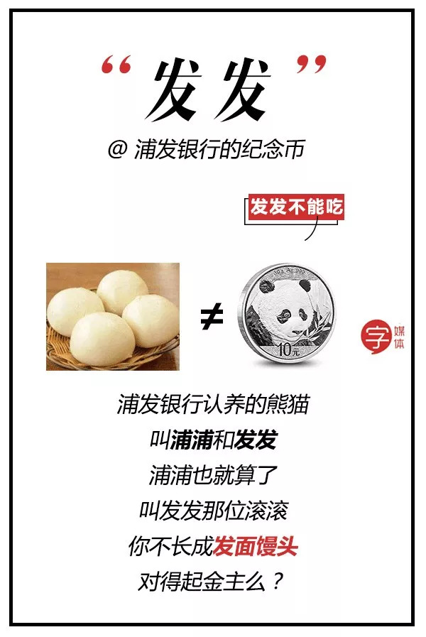 每一只可爱滚滚的背后，都有一群起名字不靠谱的人！