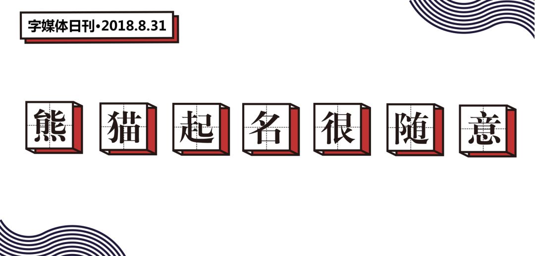 每一只可爱滚滚的背后，都有一群起名字不靠谱的人！