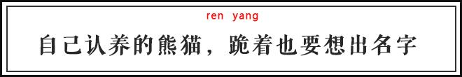 每一只可爱滚滚的背后，都有一群起名字不靠谱的人！