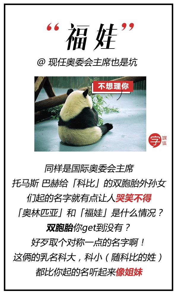 每一只可爱滚滚的背后，都有一群起名字不靠谱的人！