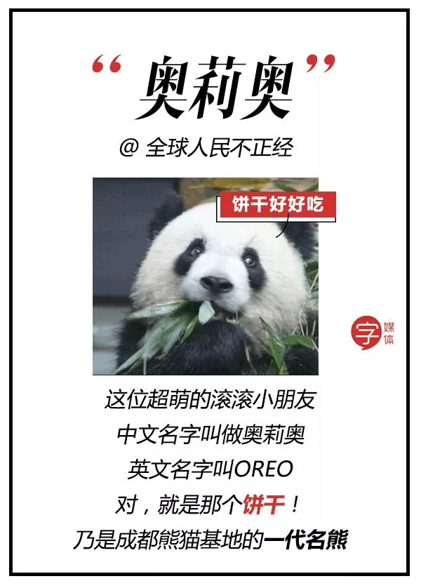 每一只可爱滚滚的背后，都有一群起名字不靠谱的人！